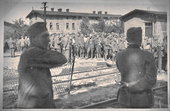 Jeńcy polscy na dworcu w Chojnicach. Wrzesień 1929 r.